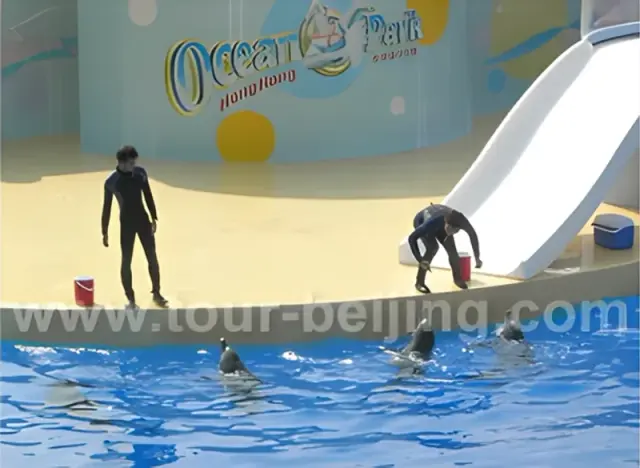 Hong Kong Island and Ocean Park Day Tour