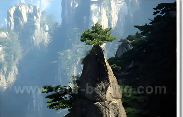 Beijing Huangshan Hongcun Shanghai 9 Days Tour