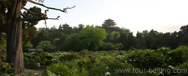 Summer Palace
