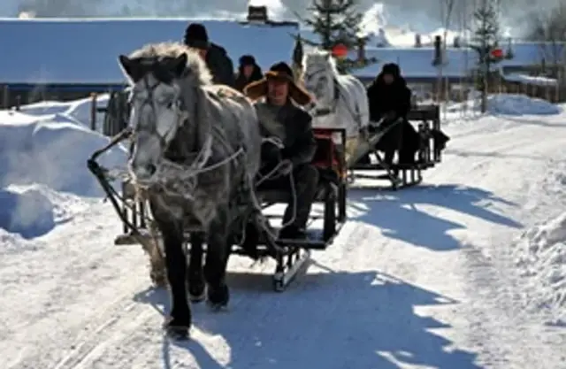 Horse sled
