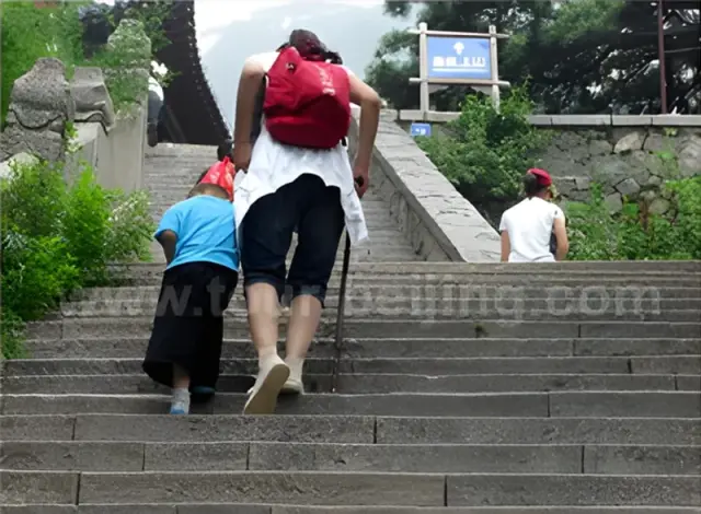 Taishan One Day Private Tour