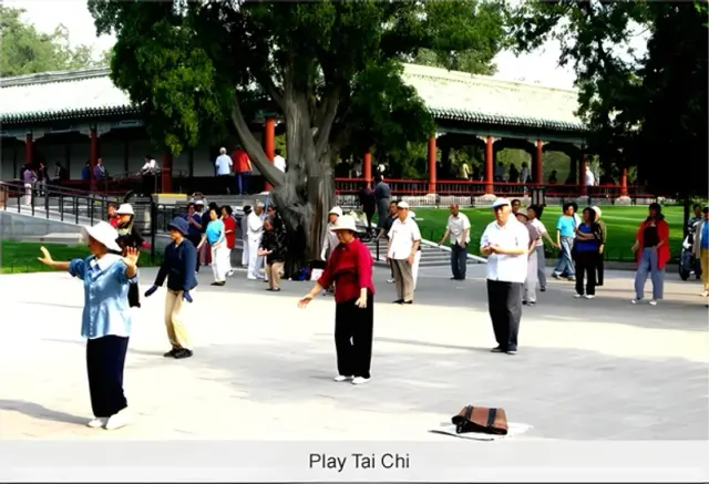 Play Tai Chi