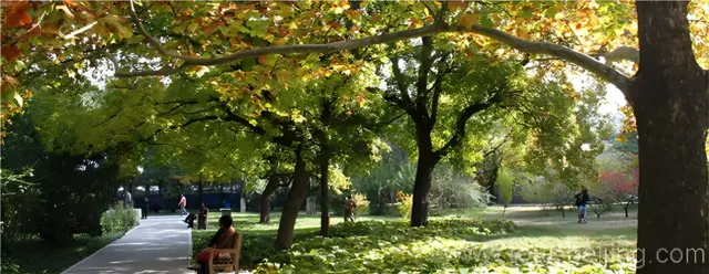 Ditan Park