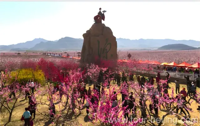 pinggu peach garden