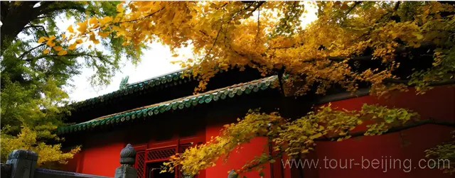 Hongluo Temple