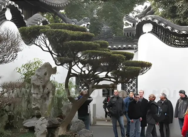 Shanghai Classic Layover Day Tour