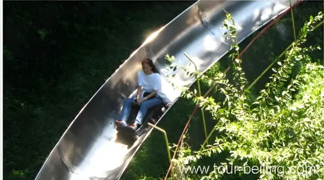 Take the Toboggan Down ( Optional)