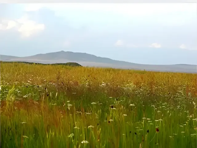 5 Day Inner Mongolia Kublai Khan and Grassland Exloration Tour