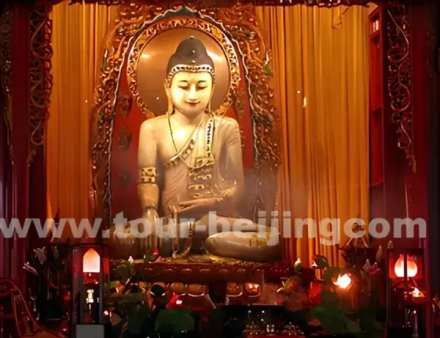 Beijing Xian Chengdu Lhasa Shanghai 14 Day Tour