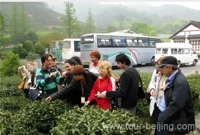 Visit Longjing Tea Village