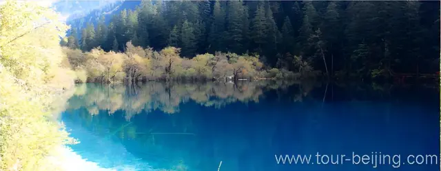 Tiger Lake
