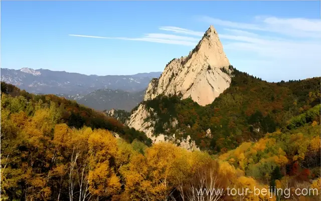 Wuyi Mountain Natural Reserves