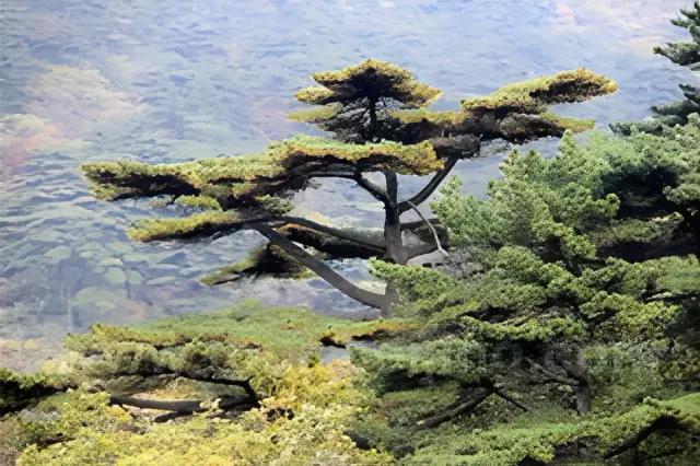 Beijing Huangshan Hongcun Shanghai 9 Days Tour