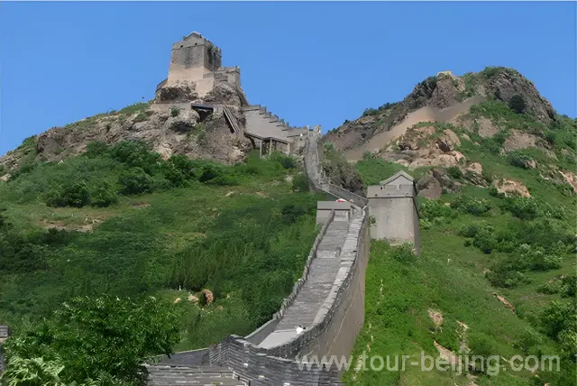 Bird Watching at Jiaoshan Great Wall