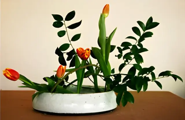 2-Hour Flower Arrangement or Floral Design Private Class
