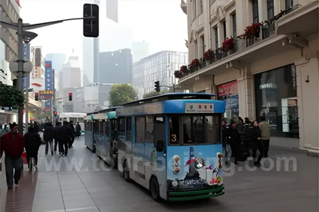 Cruise Port to Shanghai Day Tour