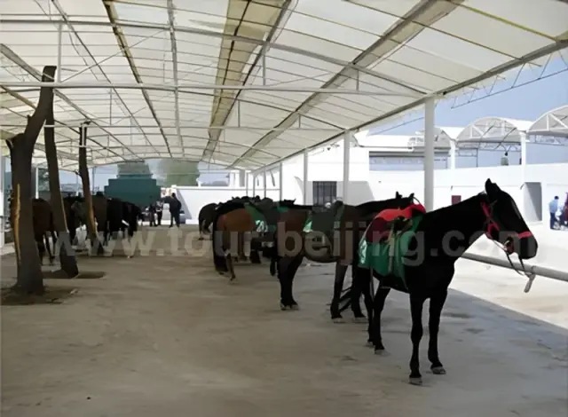 Beijing Horseback Riding and Badaling Great Wall Tour