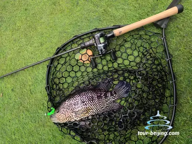 Lure Fishing 3