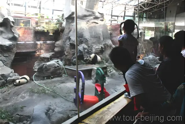 Beijing Panda House