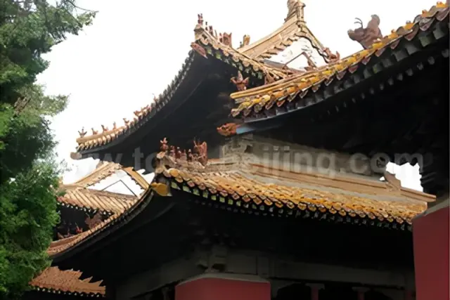 Qufu One Day Private Tour