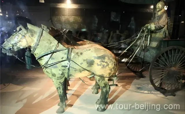 Horses Exhibition of Terracotta Warriors