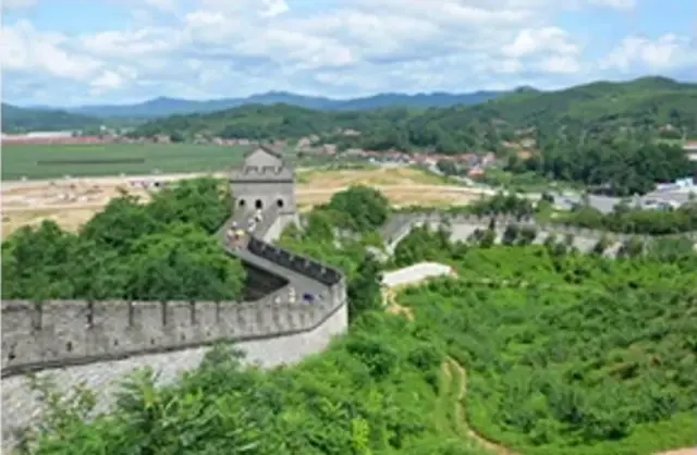 Tiger Great Wall