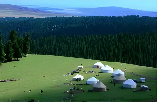 Nanshan Pasture