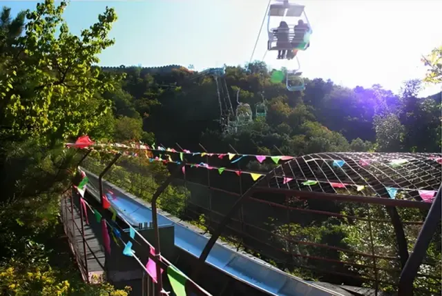 Chairlift up and Toboggan Down (Watchtower No.6)