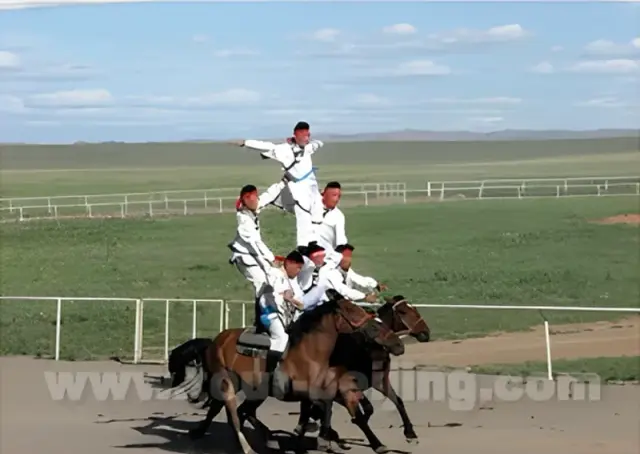 Horse racing and Equestrian