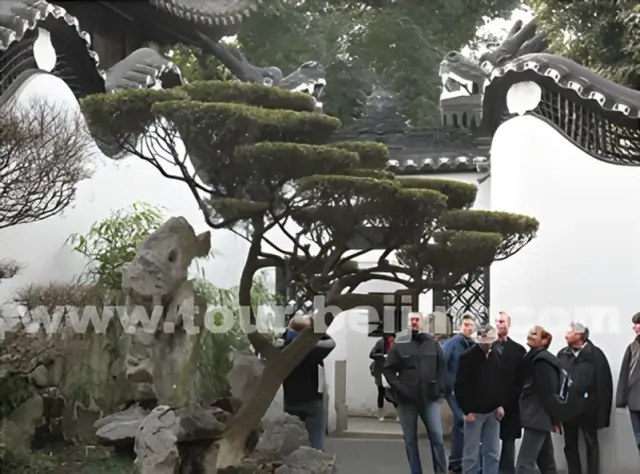 Beijing Shanghai 1 Day Travel by High-speed train and Flight