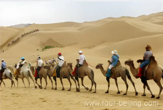 Camel Riding at Resonant Sand Gorge for 6-7 minutes