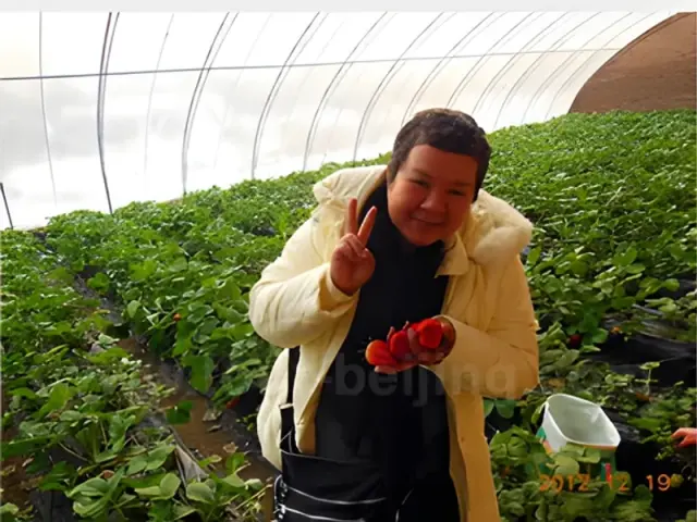 Strawberries Picking and Snow World Tour