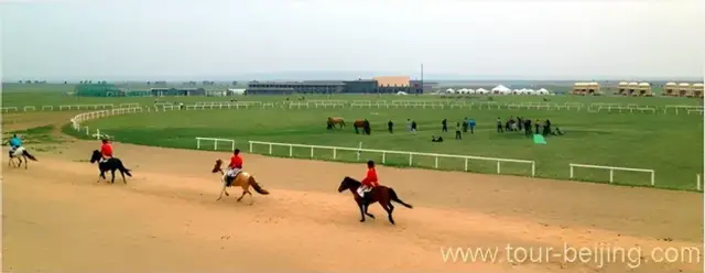 Gongbaolage Grassland