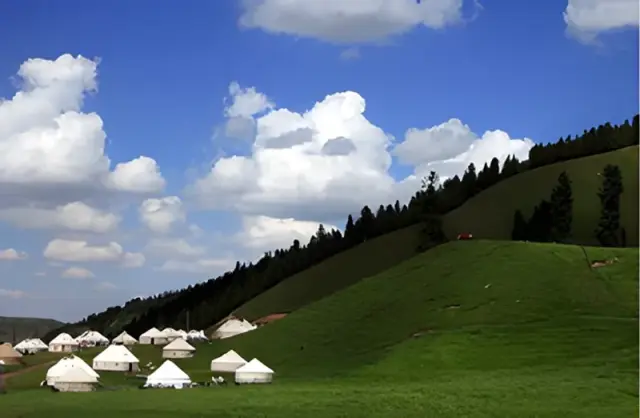 Nanshan Mountain Pastureland