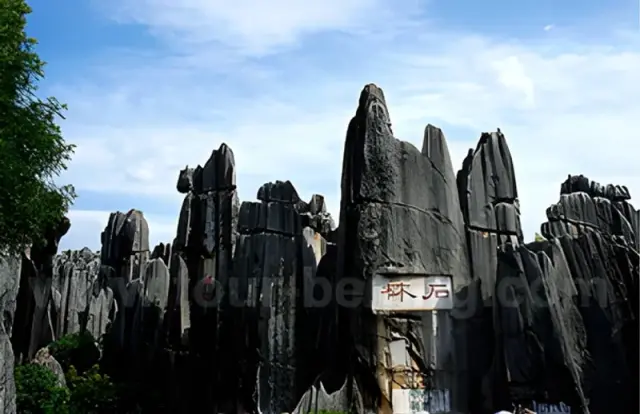 Stone Forest