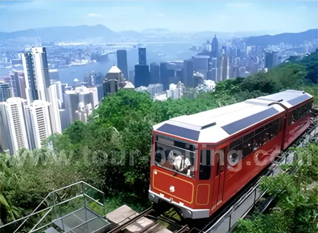 Half Day Hong Kong Island Layover Tour