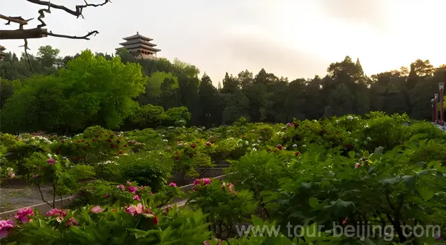 Jingshan Park
