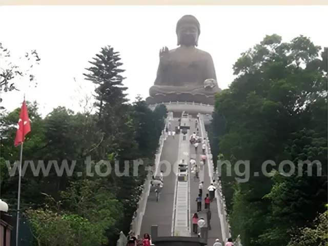 Half Day Lantau Island Layover Tour