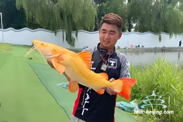 Lure Fishing 2