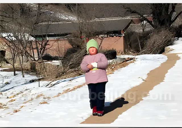 Huanghuazhen Village to Donggong Village Hiking Day Trip