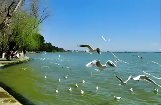 Dianchi Lake
