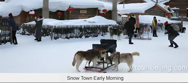 Snow Town Early Morning