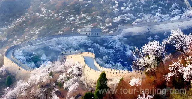 Mutianyu Great Wall in Spring