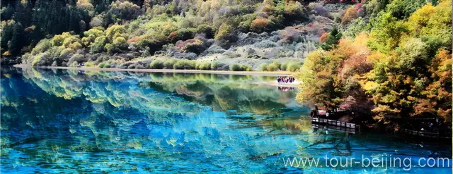 Five Flower Lake