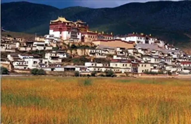 Ganden Sumtseling Monastery