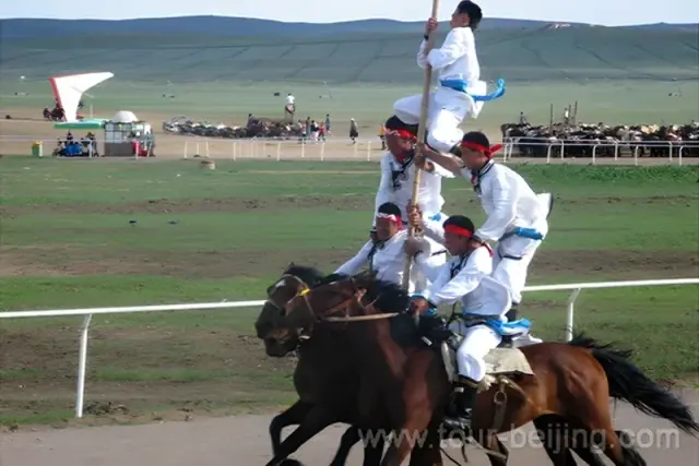 Horse Racing and Equestrian