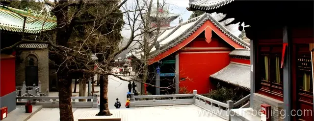 Shaolin Temple