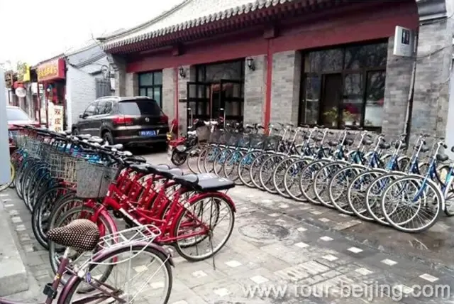 Bike Tour