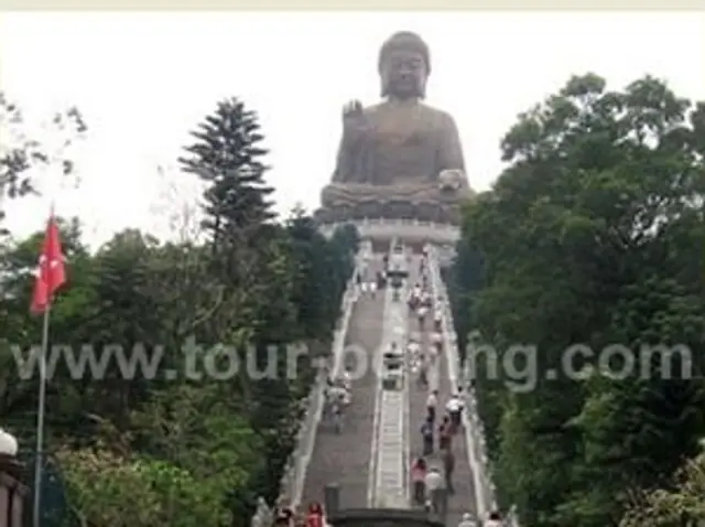 Half Day Lantau Island Layover Tour