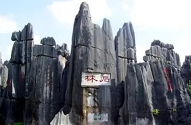 Stone Forest